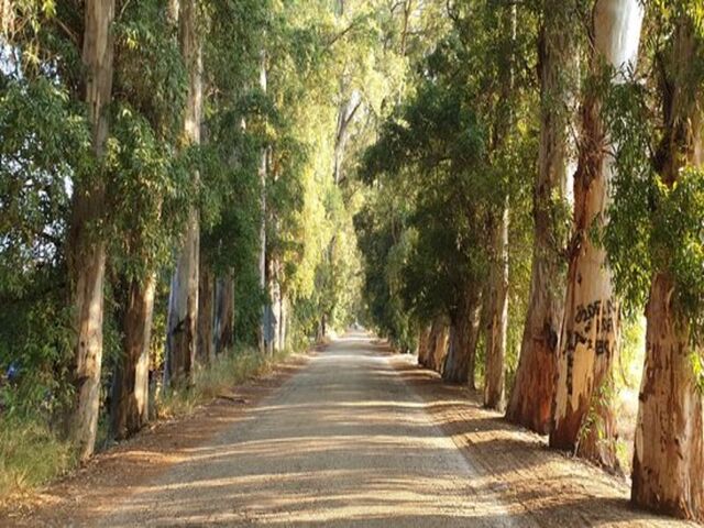 GÜNÜBİRLİK DATÇA - MARMARİS - AKYAKA TURU