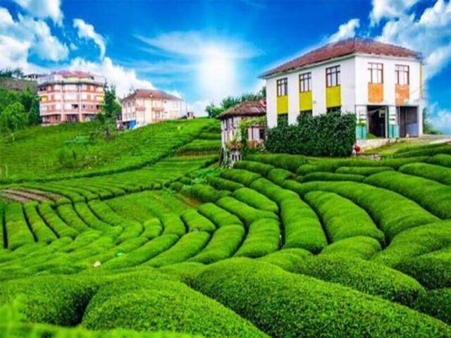 BUTİK KARADENİZ VE BATUM TURU ( 2 GECE 3 GÜNDÜZ )