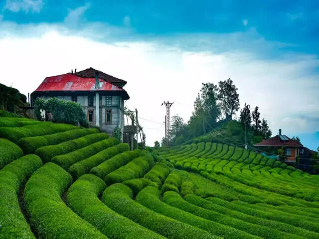 BUTİK KARADENİZ VE BATUM TURU ( 2 GECE 3 GÜNDÜZ )