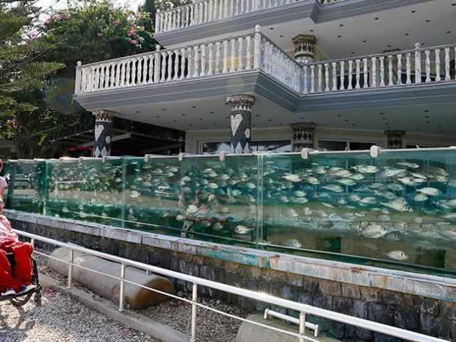 KONYA ÇIKIŞLI GÜNÜBİRLİK ALAÇATI OT FESTİVALİ TURU