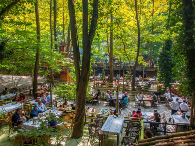 KONYA ÇIKIŞLI GÜNÜBİRLİK SAPANCA ORMANYA MAŞUKİYE TURU