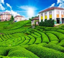 BUTİK KARADENİZ VE BATUM TURU ( 2 GECE 3 GÜNDÜZ )